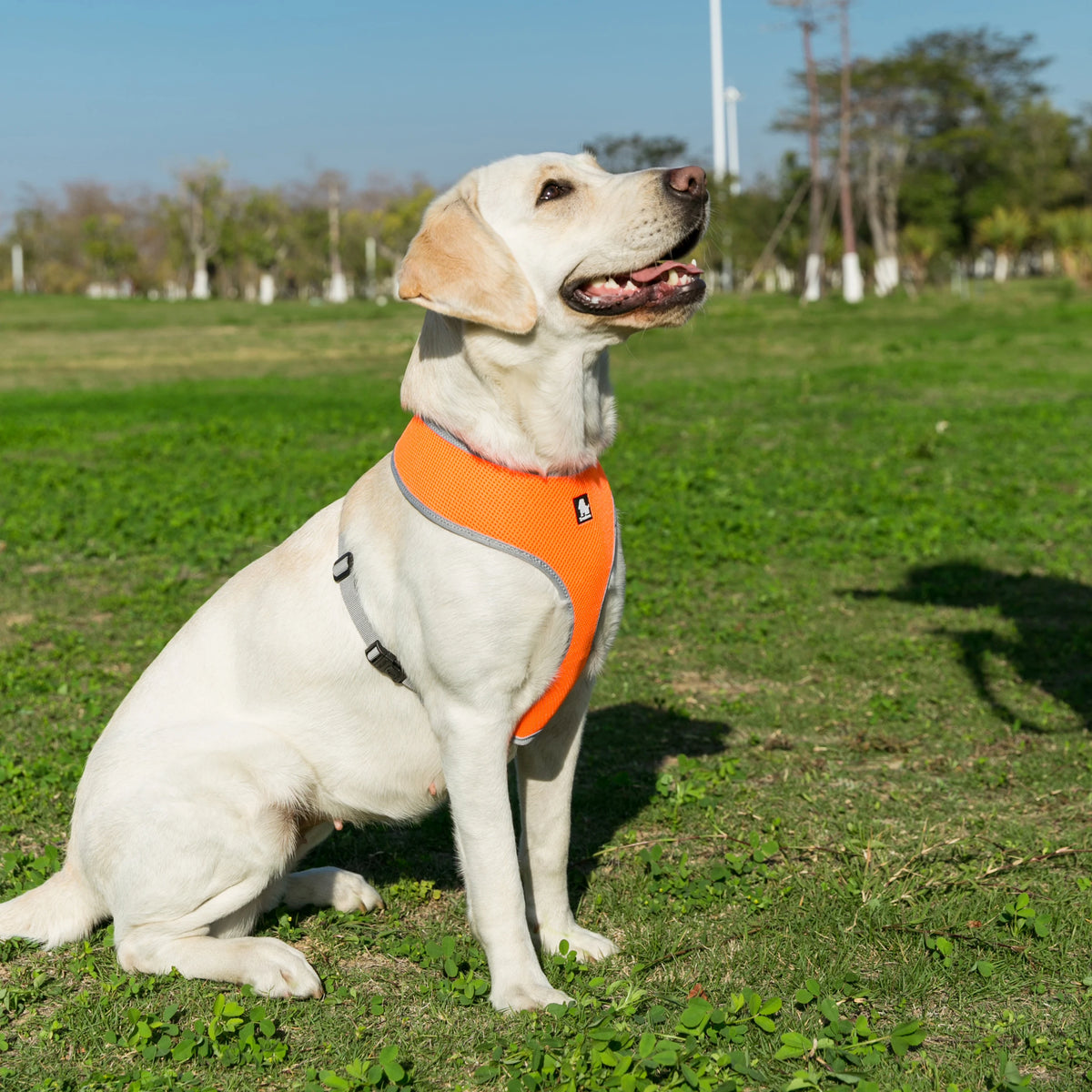 Arnés Transpirable Truelove TLH1911 para Perro