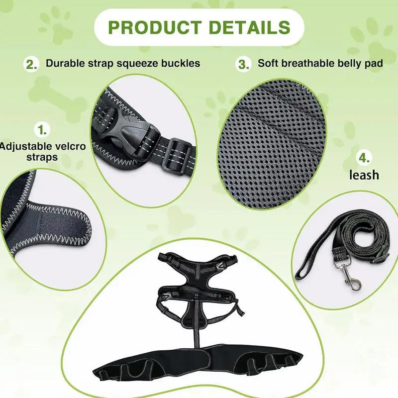 Soporte Ajustable para Cadera de Perros