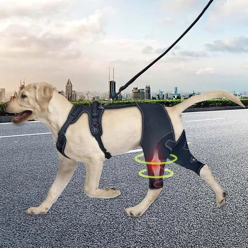 Soporte Ajustable para Cadera de Perros