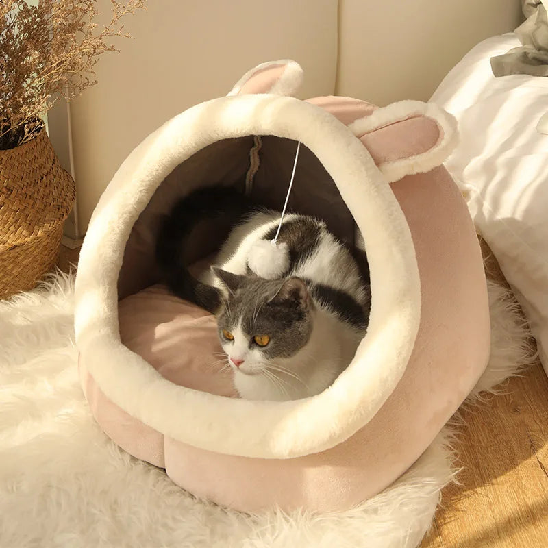 Cama Plegable y Lavable para Gatos y Perros Pequeños