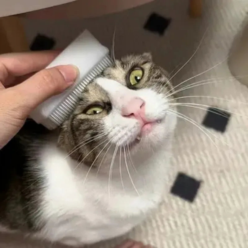 Cepillo Sensorial para Gatos y Perros