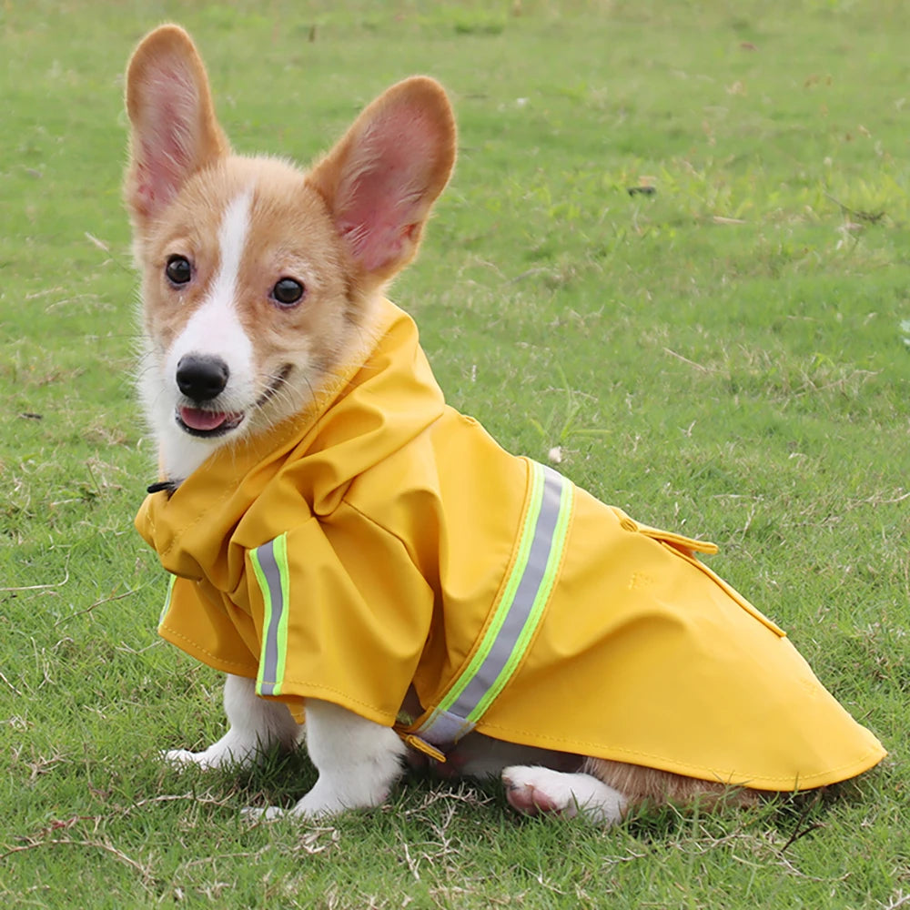 Chubasquero Reflectante para Perros Grandes