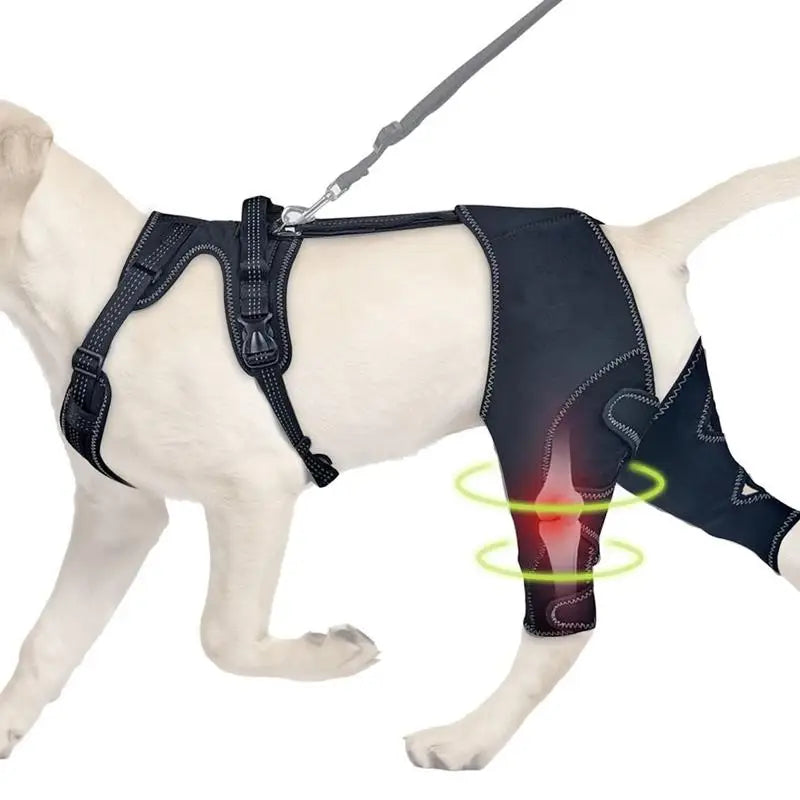 Soporte Ajustable para Cadera de Perros