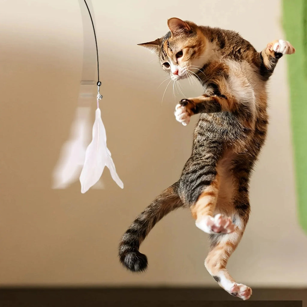 Juguete Interactivo de Varita con Plumas para Gatos