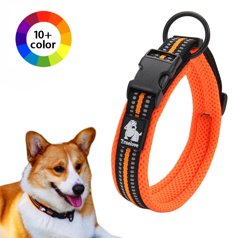 Collar de Paseo Winhyepet para Perros