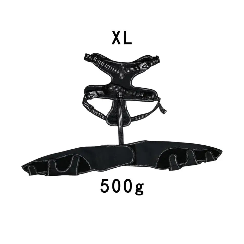 Soporte Ajustable para Cadera de Perros