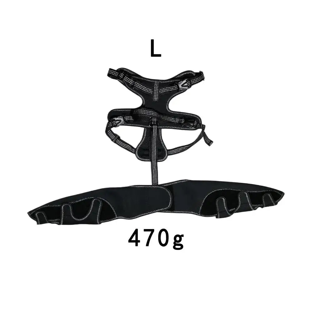 Soporte Ajustable para Cadera de Perros