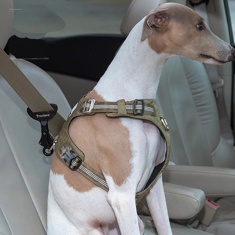 Cinturón de Sujeción para Mascotas en Coche