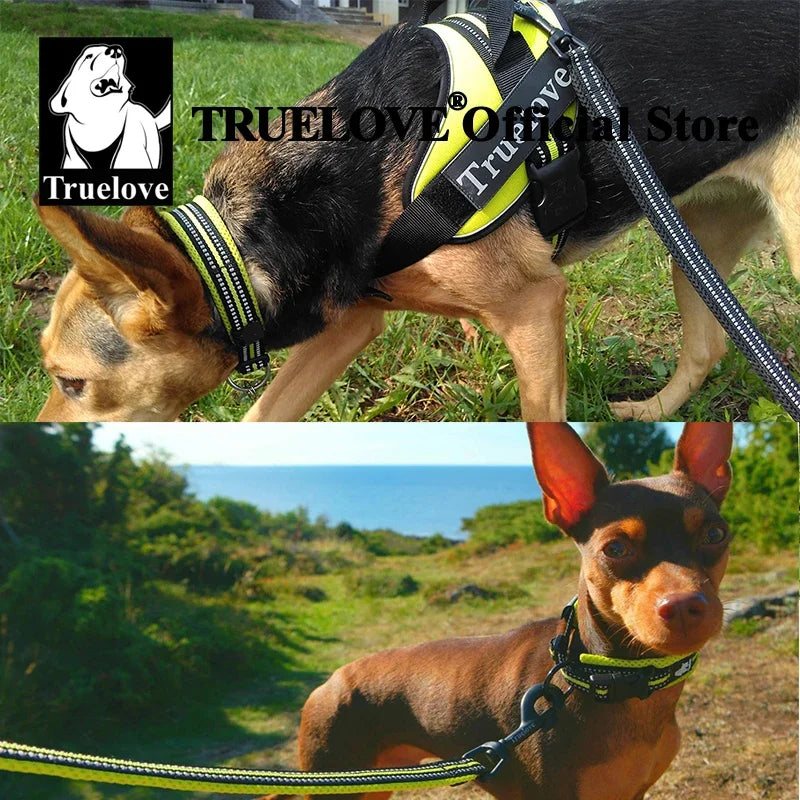 Collar Acolchado Truelove para Perros
