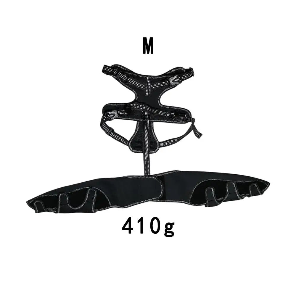 Soporte Ajustable para Cadera de Perros