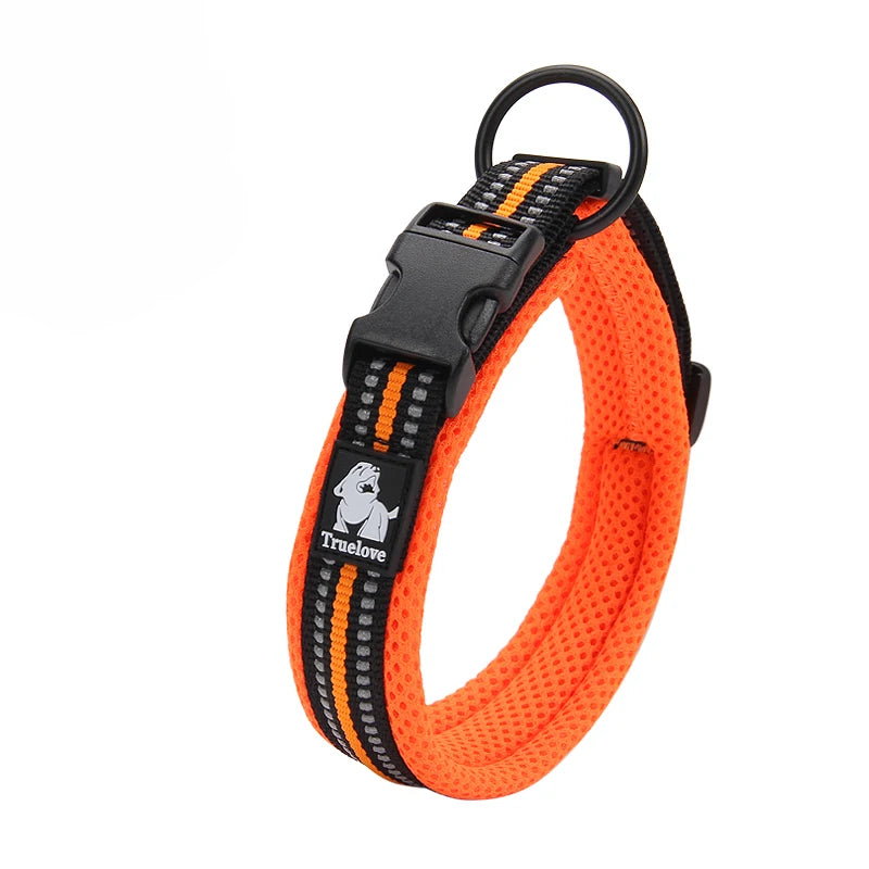 Collar de Paseo Winhyepet para Perros