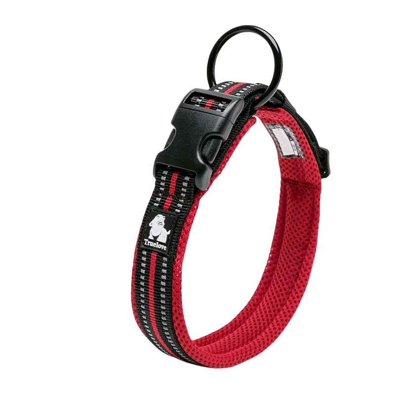 Collar de Paseo Winhyepet para Perros