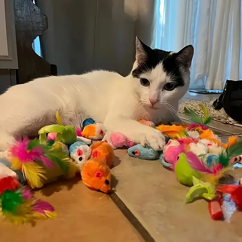 Pack Mixto de Juguetes para Gatos de 14, 28 o 56 Piezas