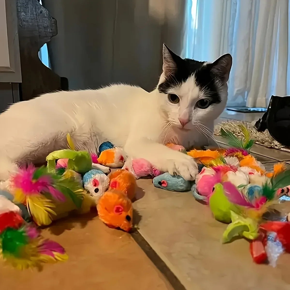 Pack Mixto de Juguetes para Gatos de 14, 28 o 56 Piezas